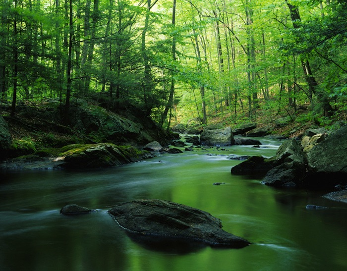 Photographs of the New Jersey Highlands