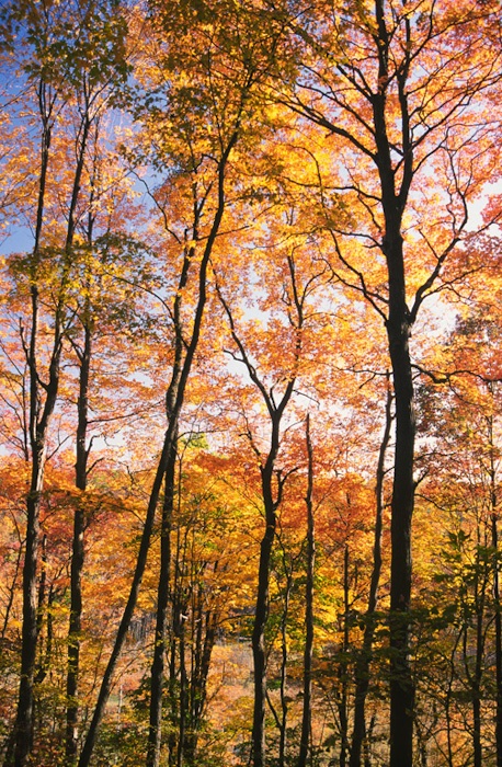 New Jersey Ridge and Valley